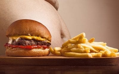 Don’t Be Salty: Aging Effects of Sodium and Obesity