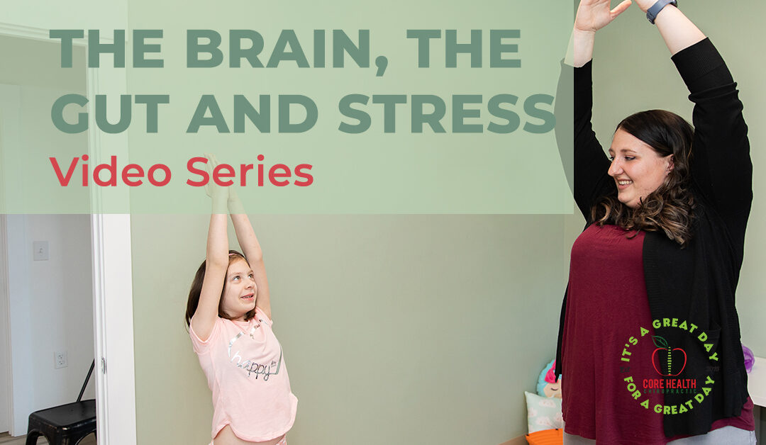 The Brain, the Gut, and Stress – Video Series