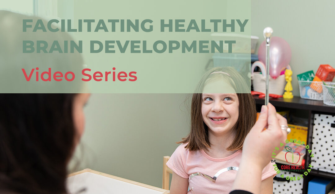 Facilitating Healthy Brain Development – Video Series