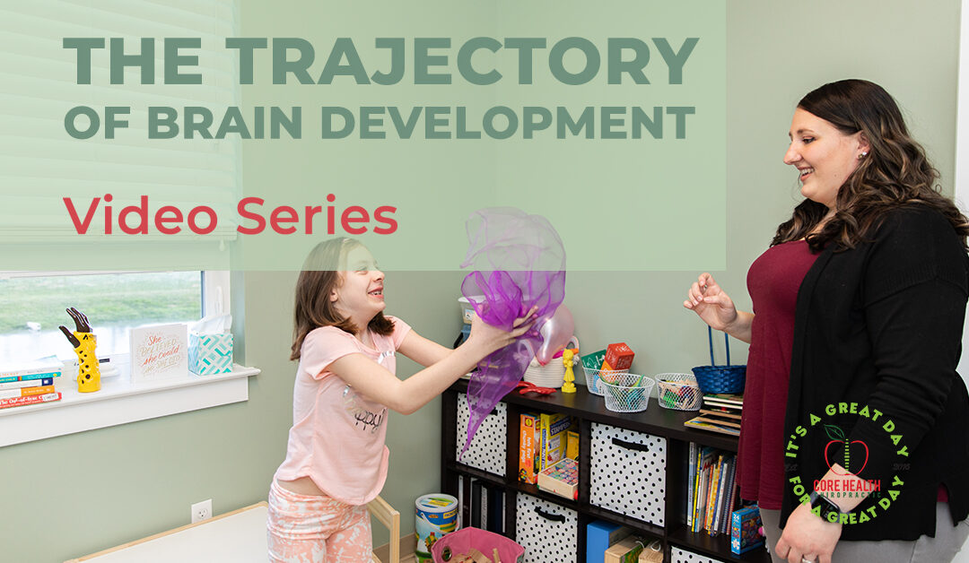 The Trajectory of Brain Development – Video Series